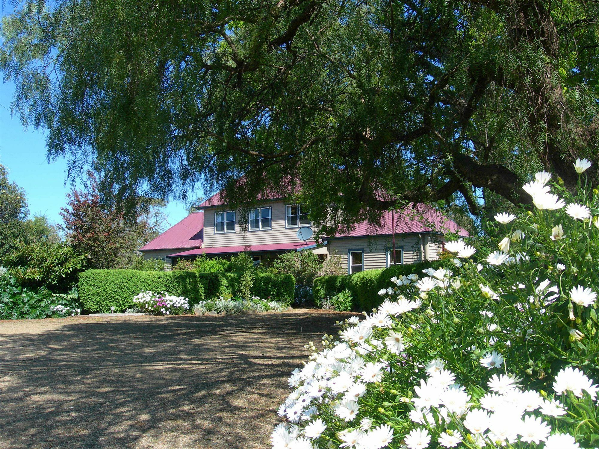 Redcliffe House Colonial Bed & Breakfast Суонси Экстерьер фото